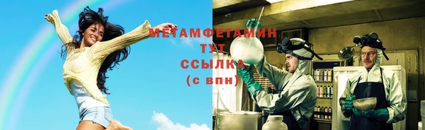 прущие грибы Беломорск