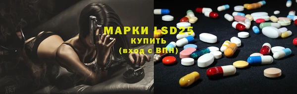 прущие грибы Беломорск