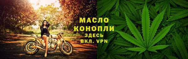 прущие грибы Беломорск