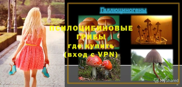 прущие грибы Беломорск