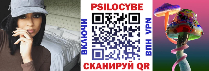 Псилоцибиновые грибы Cubensis наркошоп Гатчина