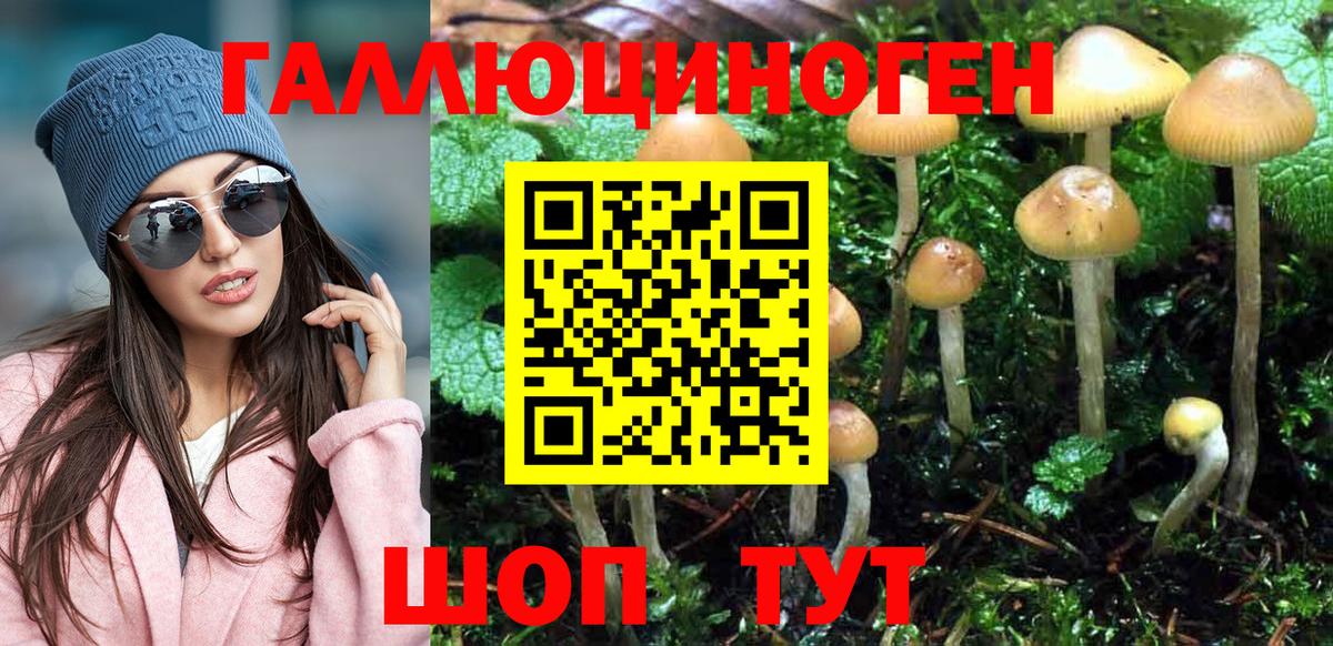 Галлюциногенные грибы прущие грибы Гатчина