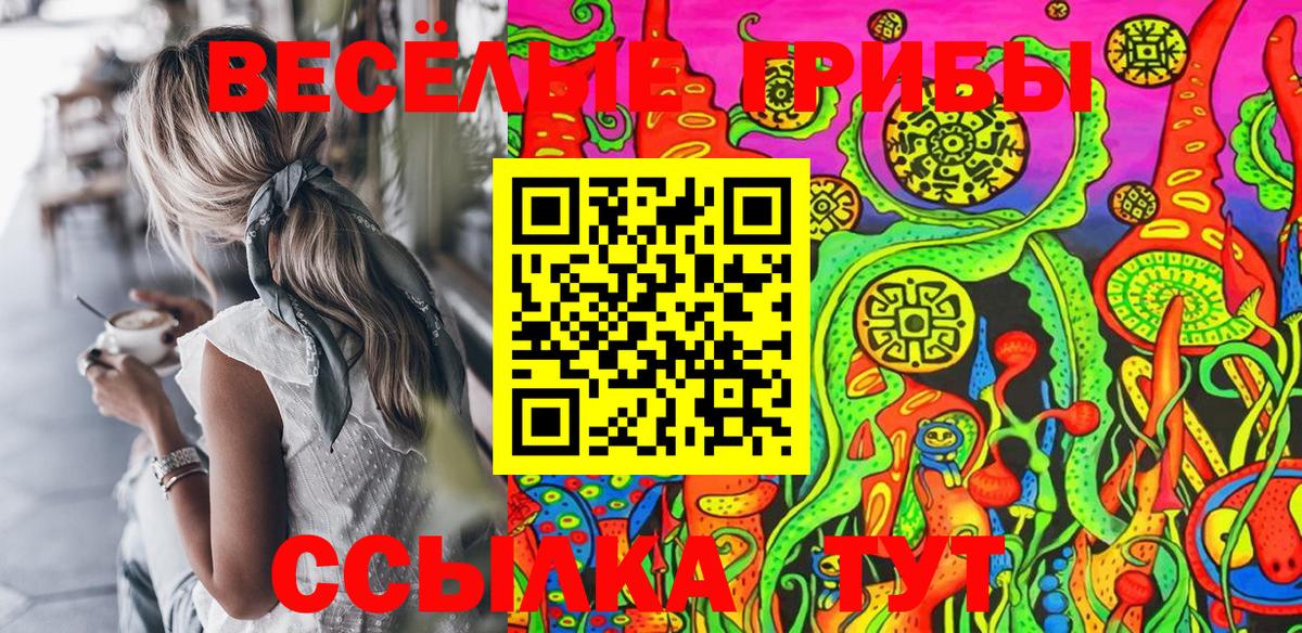 Псилоцибиновые грибы GOLDEN TEACHER Гатчина