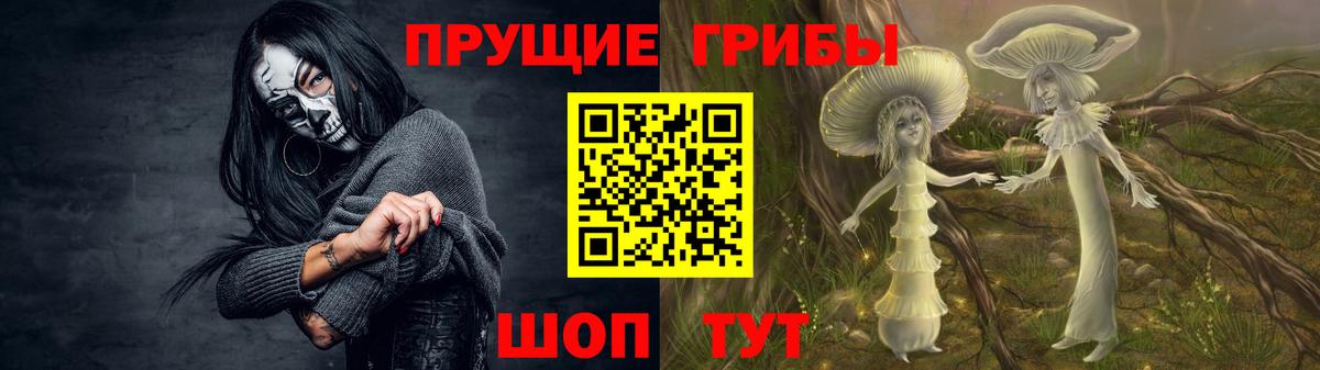 Псилоцибиновые грибы прущие грибы  Вход с VPN  Гатчина 