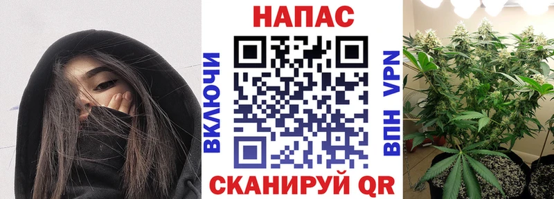 Конопля семена  Гатчина 